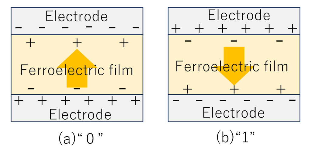 圖1 強誘電體中寫入(a)「0」與(b)「1」後的極化狀態